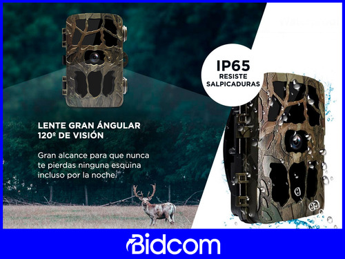 Camara Deportiva Gadnic Caza 4k Visión Nocturna 30 Metros