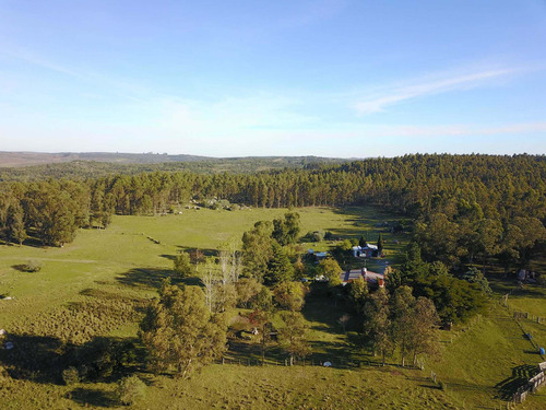 Alquiler Casa De Campo En Minas, Lavalleja Chacra 4 Cuartos