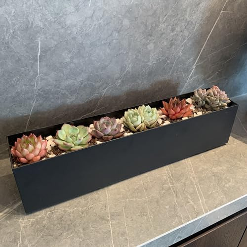 Maceta De Acero Moderna Para Plantas - Macetero Rectangular