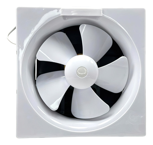 Extractor De Aire 10 Pulgadas Vitron