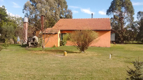 Imagen 2 de 26 de Latorre Prop Vende Casa Quinta 3 Amb , 8600 M2 De Parque