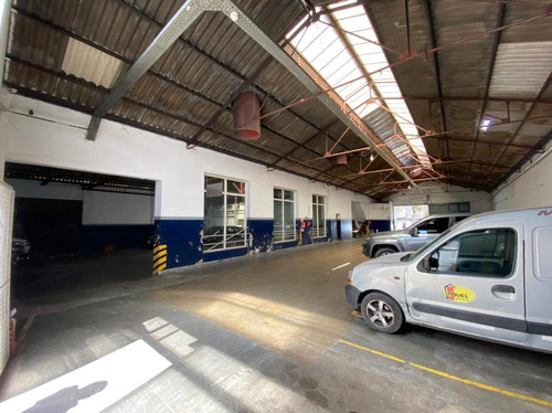 Imagen 9 de 22 de 3 Galpones 1175 M² Cub. - Lote De 31 X 34 - Ideal Inversor - San Justo