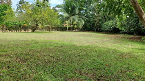 Imagen 9 de 9 de Vendo Hermosa Propiedad,san Carlos,3.050 Mtrs,tel:87564343