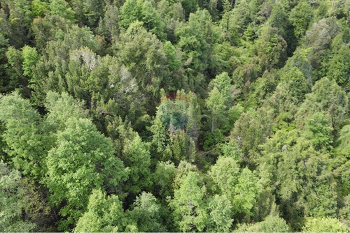 Venta Parcela Con Casa Y Cabaña En Carhuello-pucón