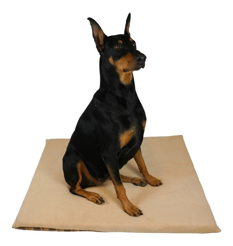 Cama Para Perro Expocan Lavable, 100% Mexicana, Grande Beige