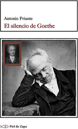 El Silencio De Goethe, De Antonio Priante. Editorial Piel De Zapa, Edición 1 En Español, 2015