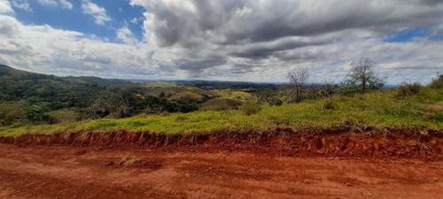 Imagem 7 de 14 de E11- Lotes Com Documentação