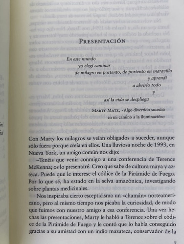 El Códice Azteca: La Pirámide De Fuego - Matz/jenkins (Usado)