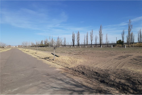 Imagen 17 de 30 de Barrio Viñas Del Sur Lotes, A Medida, Pre-venta