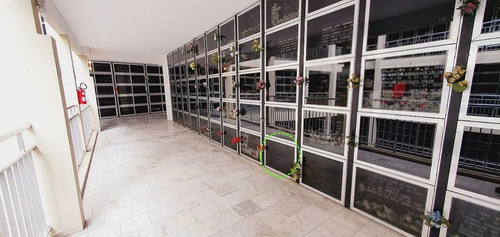 Lóculo Jazigo Cemitério Memorial Santos