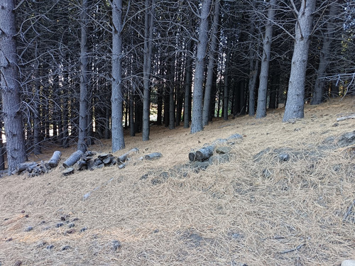 Lote En Venta En Chapelco Golf, San Martin De Los Andes, Patagonia
