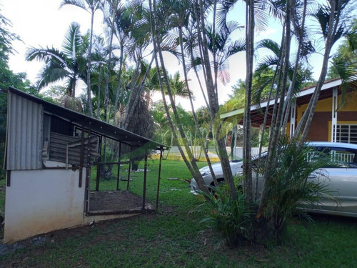 Chácara À Venda Em Em Piracaia No Asfalto Com 12 Mil Metros - 1639