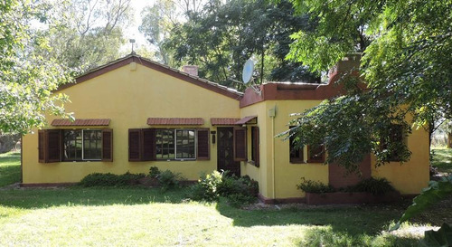 Imagen 3 de 26 de 100 Has En Punta Indio - Excelente Acceso - Ideal Haras!