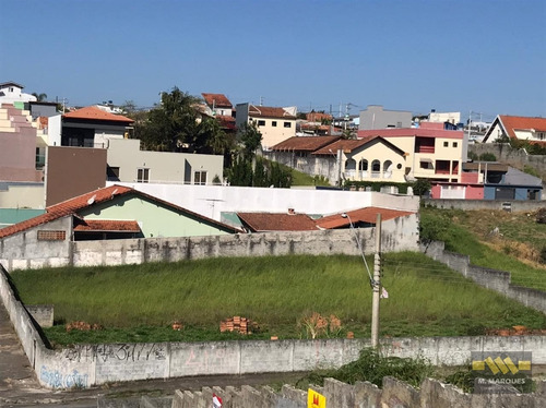 Imagem 2 de 3 de Terreno Em Vila Oliveira - Mogi Das Cruzes - 3838