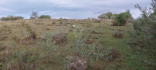 Campo En Carape Son 42 Hs 2293 M2