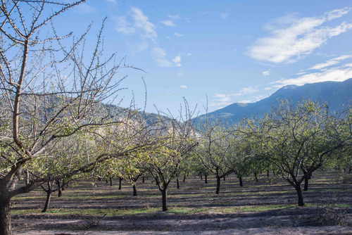 Terreno En San Juan De Pirque
