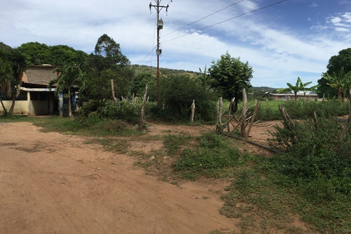 Imagen 7 de 16 de Finca Orilla De La Carretera Cumana Carupano