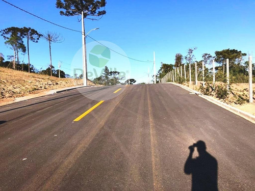 Imagem 17 de 22 de Terreno A Venda No Bairro Centro Em Campina Grande Do Sul - - 30159-1