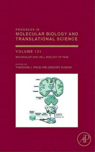 Molecular And Cell Biology Of Pain: Volume 131, De Theodore Price. Editorial Elsevier Science Publishing Co Inc, Tapa Dura En Inglés