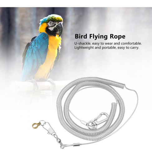 6m Flexible Mascota Loro Pájaro Correa Arnés Anti-mordedura