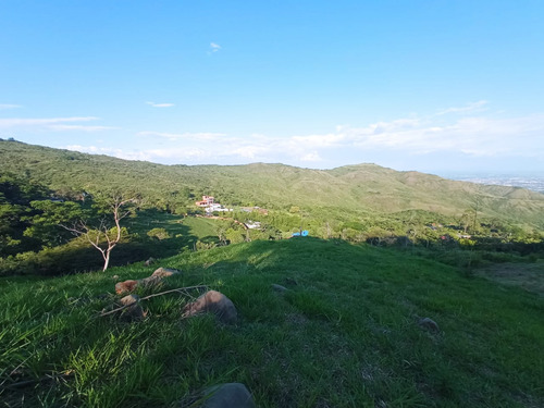 Venta Lote N° 3 En Parcelación Campestre Dapa