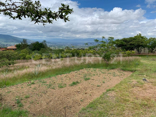 Venta De 3 Lotes En San Andrés Huayapam