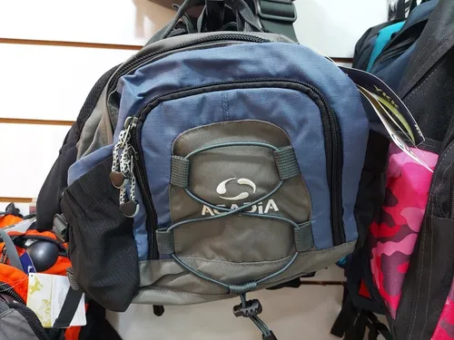 Koala Acadia Original