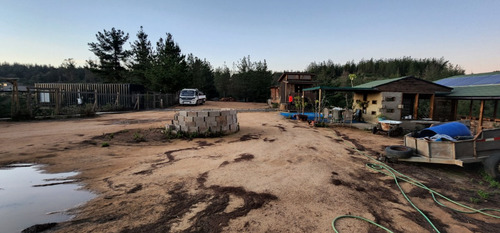 Los Pinos Con Pozo Propio