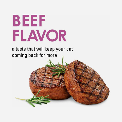 Premios Gato Purina Fancy Feast Savory Cravings Beef 85g
