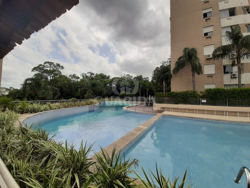 Apartamento - Jardim Carvalho - Ref: 197999 - V-198111