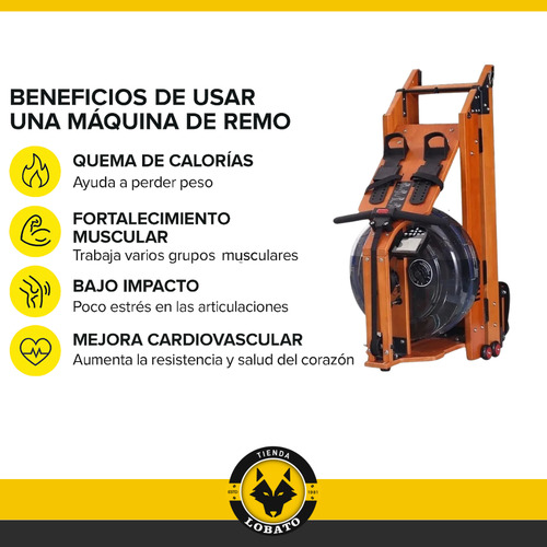 Simulador De Remo De Agua Resistencia 4 Niveles Con Monitor