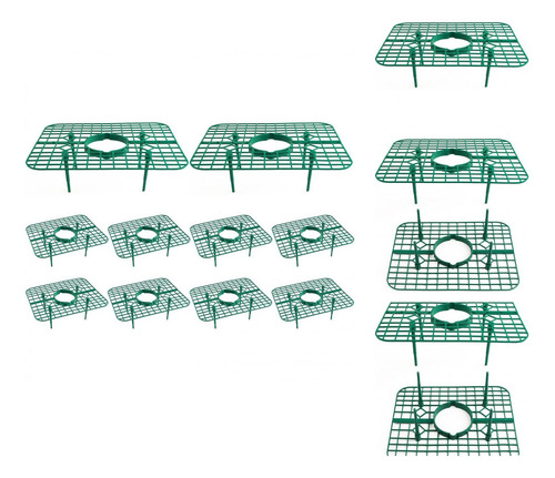 Marco De Cultivo Con Forma De Arándano, 10 Unidades, Para Qu