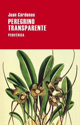 Peregrino Transparente: No, de Cárdenas, Juan., vol. 1. Editorial Periférica, tapa pasta blanda, edición 1 en inglés, 2023