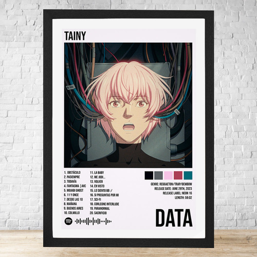 Cuadro Tainy Data 30x40 Con Vidrio Y Marco C311