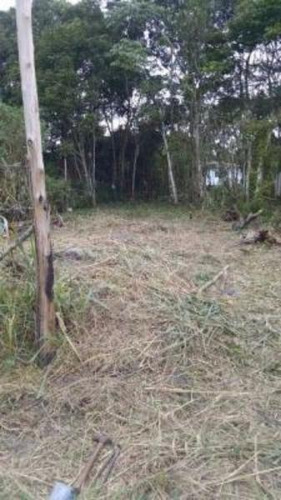 Imagem 3 de 6 de Terreno No Litoral Sul, Com 520 M², Em Itanhaém-sp 2258-pc