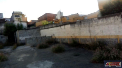 Imagem 11 de 15 de Terreno Comercial À Venda, Macedo, Guarulhos. - Ai4044