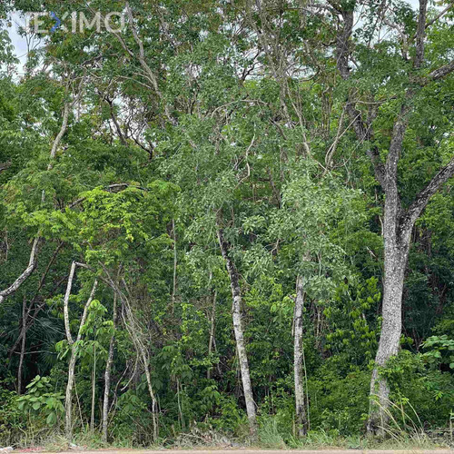 Imagen 1 de 5 de Terreno En Venta En La Región 15 De Tulum, Quintana Roo