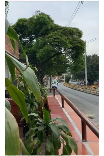 Local En Venta Laureles Lorena Medellin