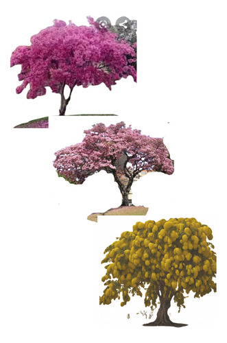 Pack De 3 Árboles Primavera 1.20 M - Rosa, Amarillo, Fiusha