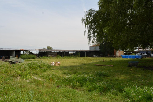 Imagen 11 de 24 de Venta De Campo De 2 Hectáreas En Guernica