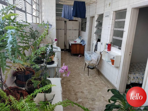 Imagem 28 de 30 de Apartamento - Ref: 203919