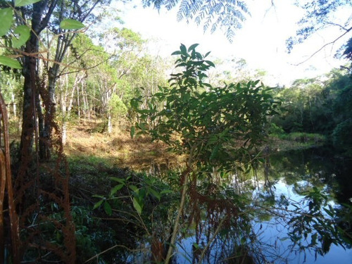 Imagem 6 de 10 de Lindo Terreno Com Lago Ref 874