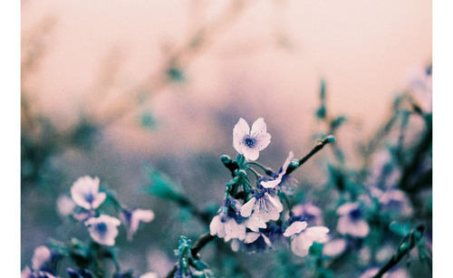 Lomography Lomochrome Turquoise - Unidad - 1
