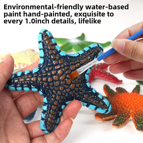 Starfish 8 - Set Educativo Para Niños Con Forma De Concha De