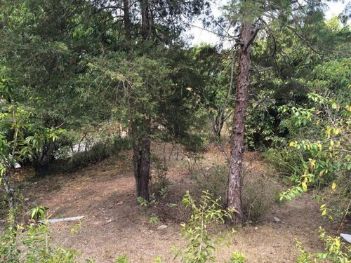 Imagem 2 de 3 de Terreno Para Venda Em Porto Real, Jardim Das Acácias - 0144_1-462095
