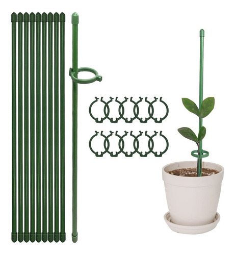 Estacas De Soporte Para Plantas De 12 Pulgadas, Con Anillo .