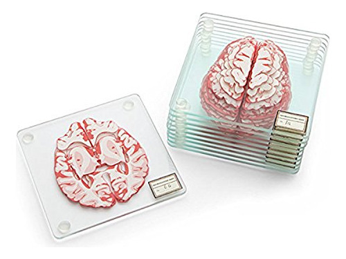 Anatómicas De Muestras Cerebrales Posavasos Juego De P...