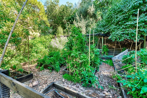 Chilena, Con Gran Jardín Formado, El Arrayán