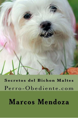 Libro: Secretos Del Bichon Maltes: Perro-obediente (span