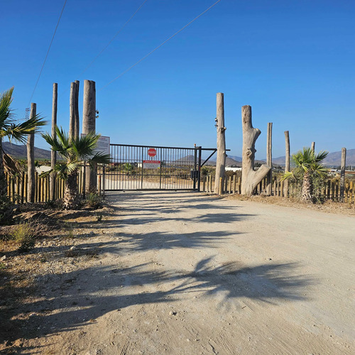 Terreno 5.000 M² Listo Para Construir  Coqui (148839)